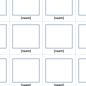 PECS SJABLOON EDUCRATIEF (12 stuks)