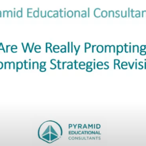 Webinar Pyramid: Prompten