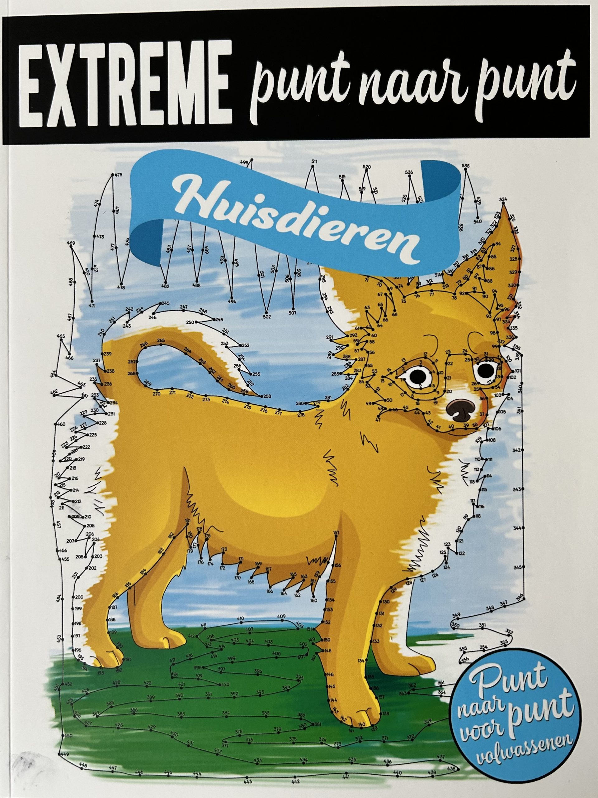 Extreme Punt Naar Punt Huisdieren